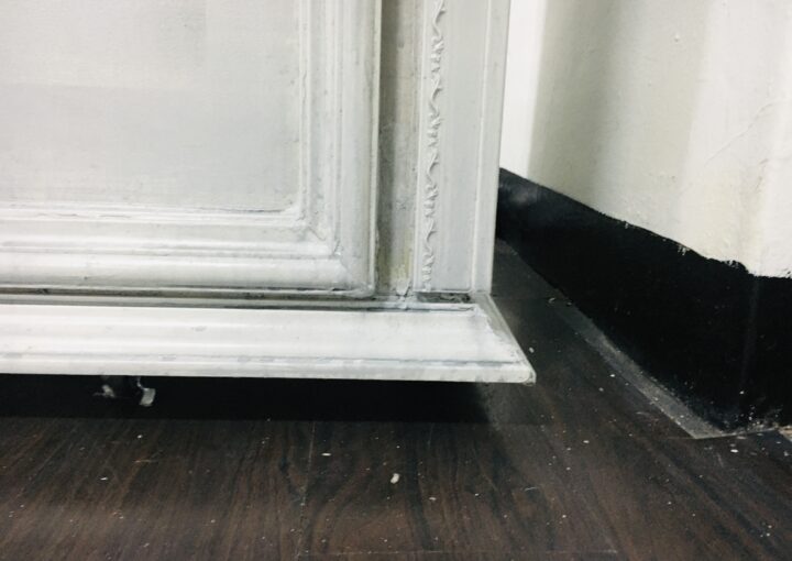 2021 03 01 zeprito wonderland