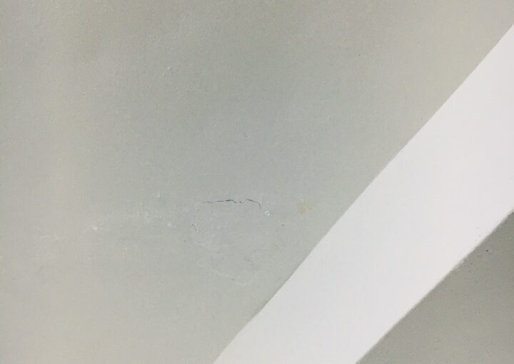 2020 11 20 zeperito wonderland