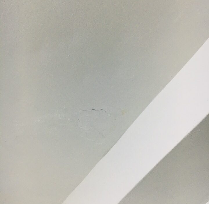 2020 11 20 zeperito wonderland