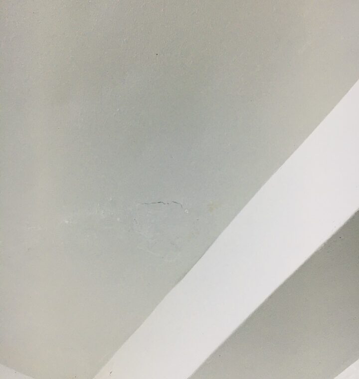 2020 11 20 zeperito wonderland