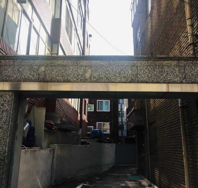 2020 11 25 zeperito wonderland 001