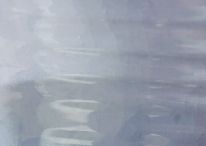 2020 12 22 zeperito wonderland 0012020 12 22 zeperito wonderland 0012020 12 22 zeperito wonderland 001