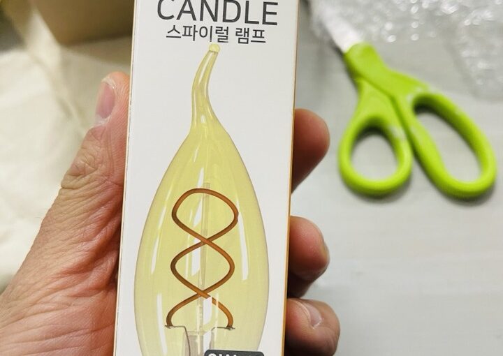 2021 01 11 zeperito wonderland