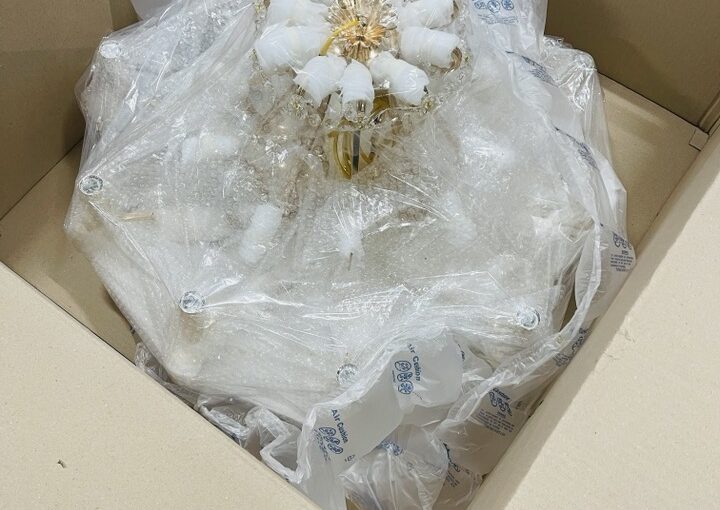 2021 01 12 zeperito wonderland 002