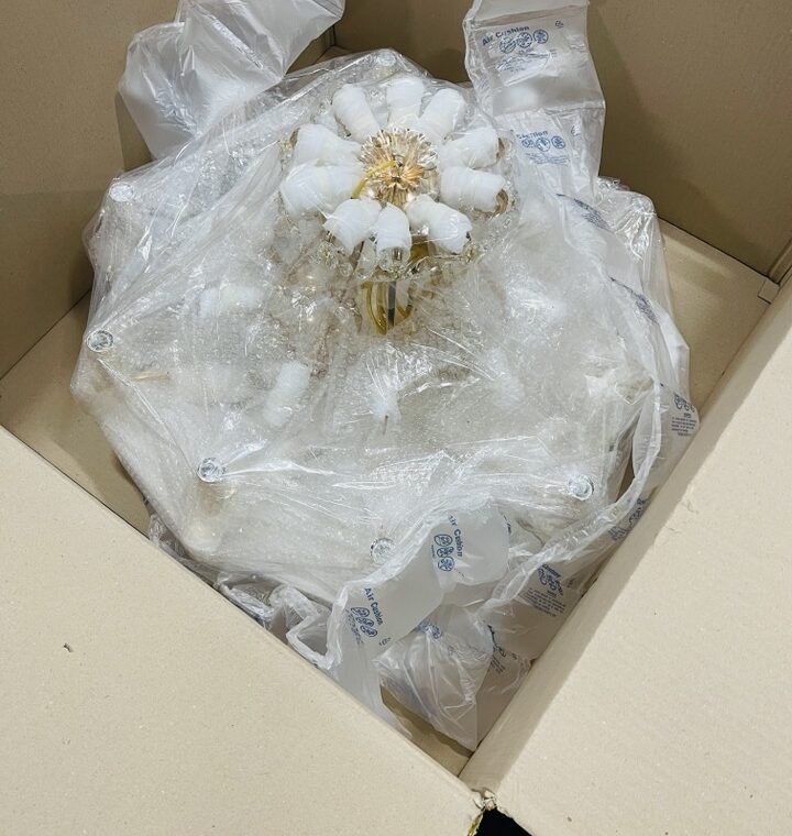 2021 01 12 zeperito wonderland 002