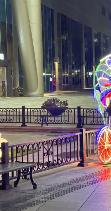 2021 01 23 zeperito wonderland