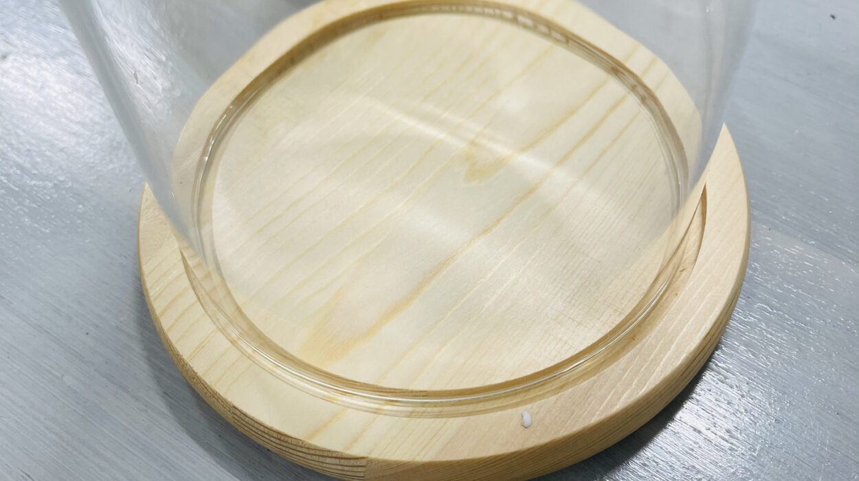 2021 01 01 zeperito wonderland