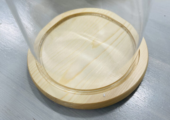 2021 01 01 zeperito wonderland