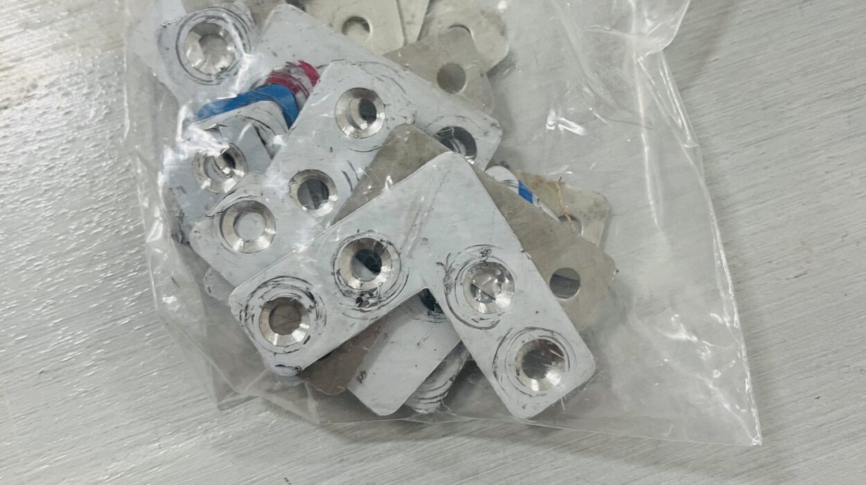 2021 02 03 zeperito wonderland