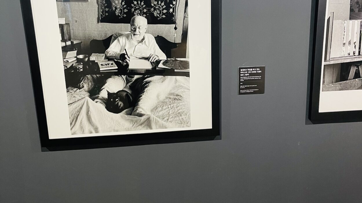 2021 02 07 zeperito wonderland