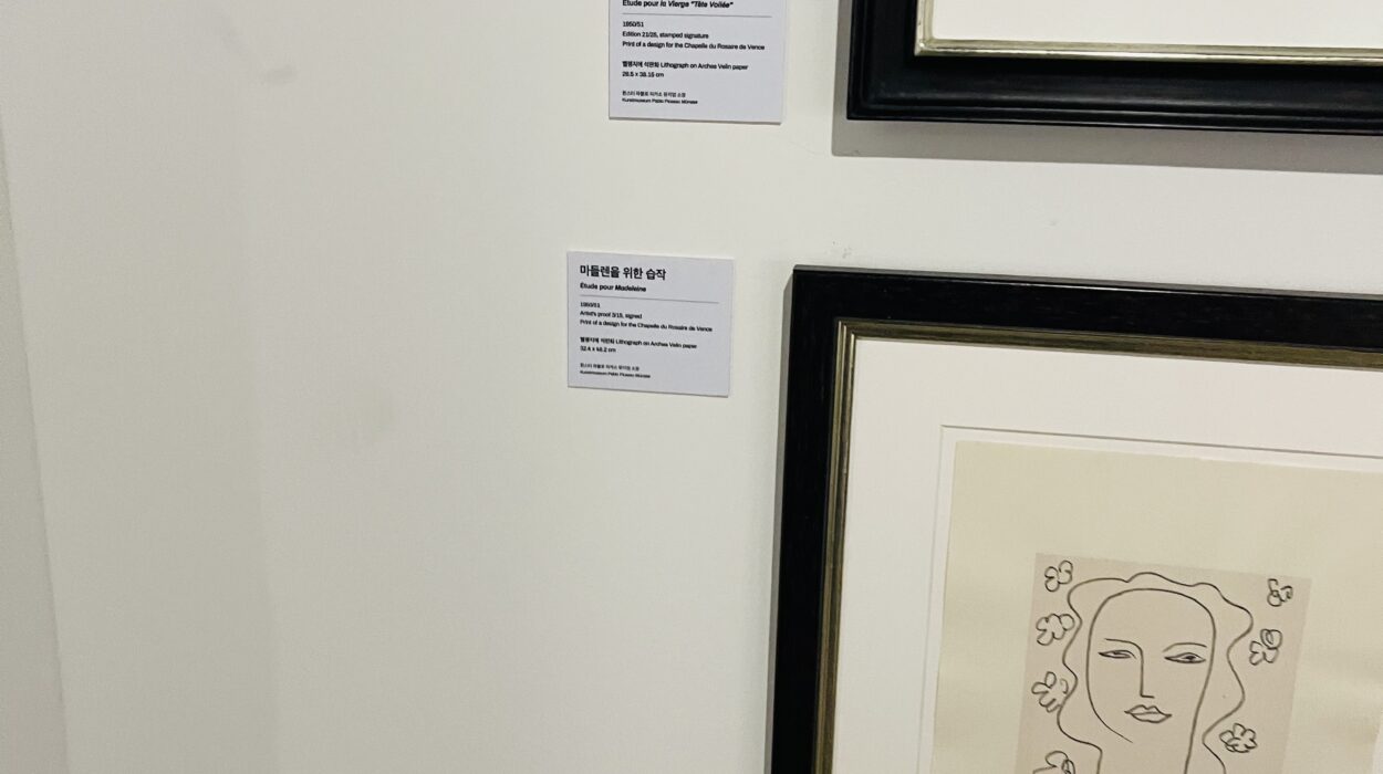 2021 02 07 zeperito wonderland