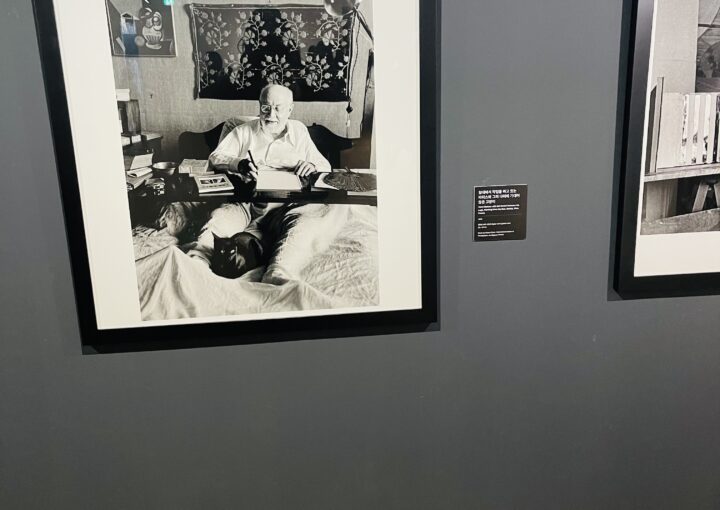 2021 02 07 zeperito wonderland