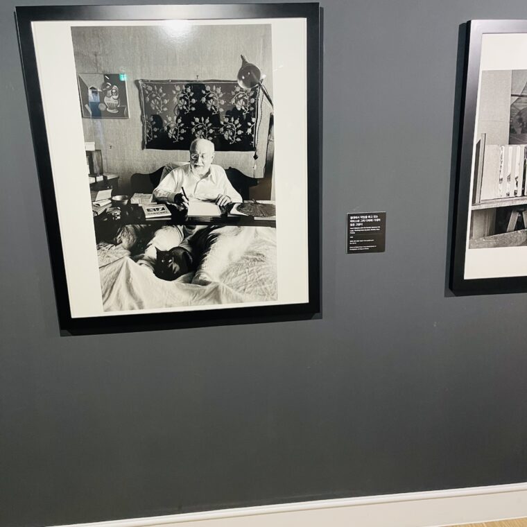 2021 02 07 zeperito wonderland