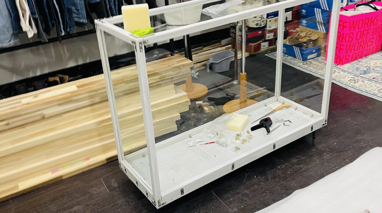 2021 02 17 zeperito wonderland