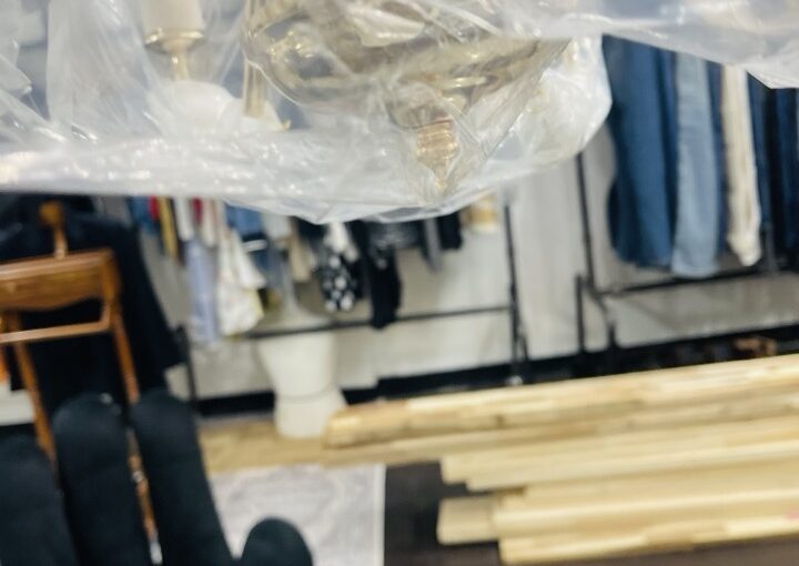 2021 02 24 zeperito wonderland