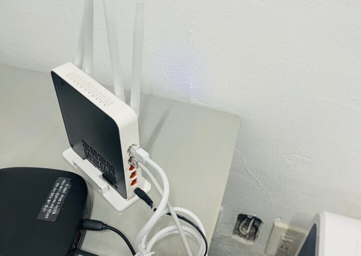 2023 02 19 zeperito wonderland