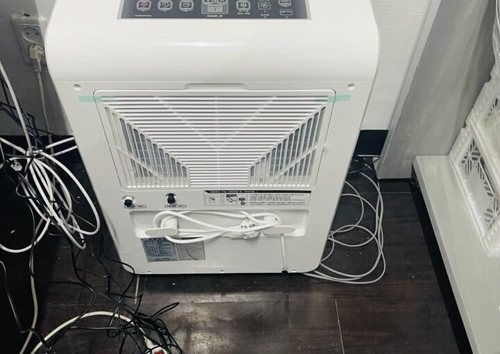 2021 03 05 zeperito wonderland 001