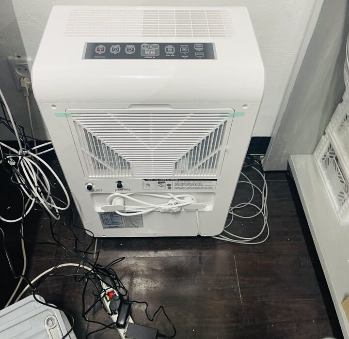 2021 03 05 zeperito wonderland 001