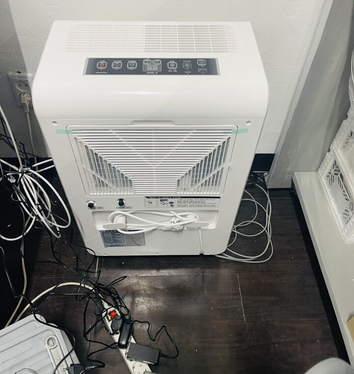 2021 03 05 zeperito wonderland 001