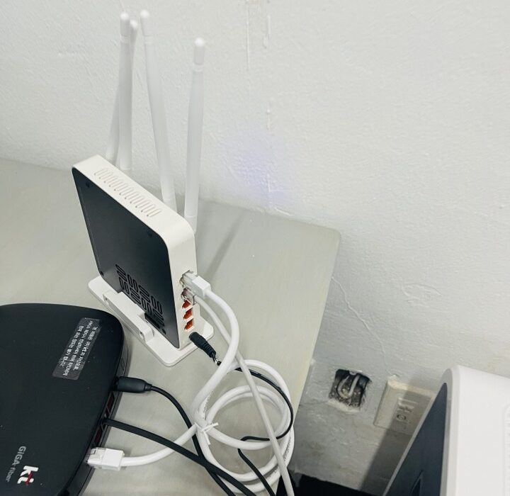 2021 03 04 zeperito wonderland 007