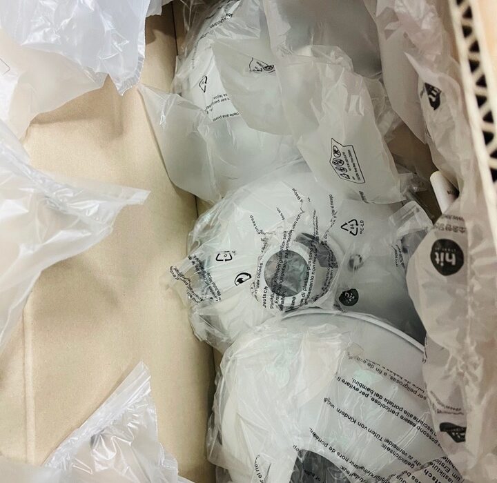 2021 03 15 zeperito wonderland2021 03 15 zeperito wonderland2021 03 15 zeperito wonderland