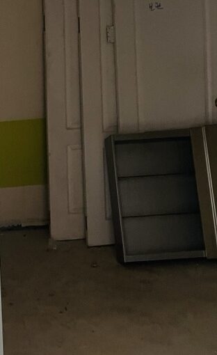 2021 03 21 zeperito wonderland