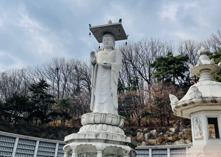 2021 03 21 zeperito wonderland