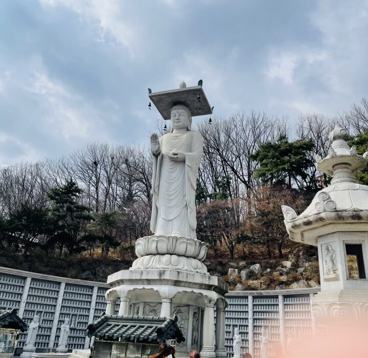 2021 03 21 zeperito wonderland