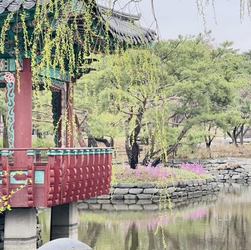 2021 03 28 zeperito wonderland