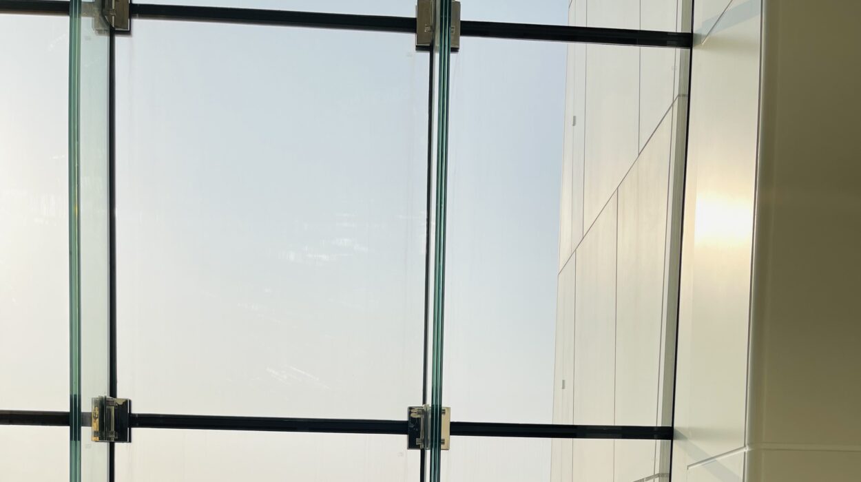 2021 04 10 zeperito wonderland