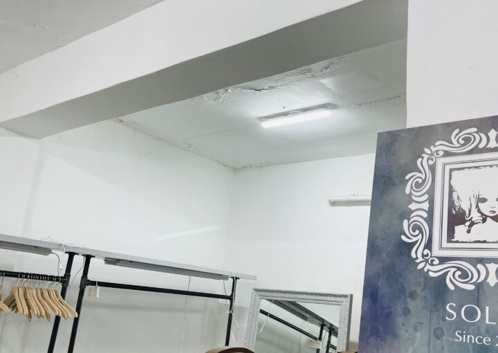 2021 05 12 zeperito wonderland