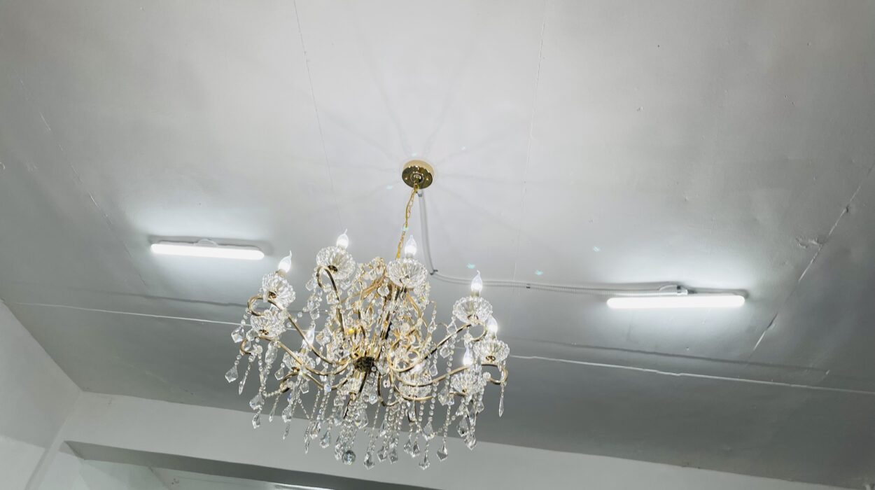 2021 05 09 zeperito wodnerland