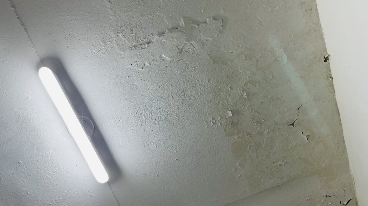 2021 05 2021 02021 05 13 zeperito wonderlandwonderland1 05 13 zeperito wonderland