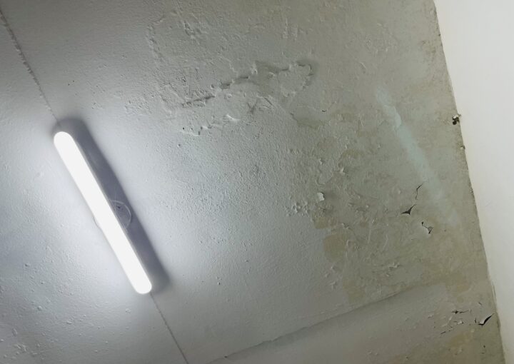 2021 05 2021 02021 05 13 zeperito wonderlandwonderland1 05 13 zeperito wonderland