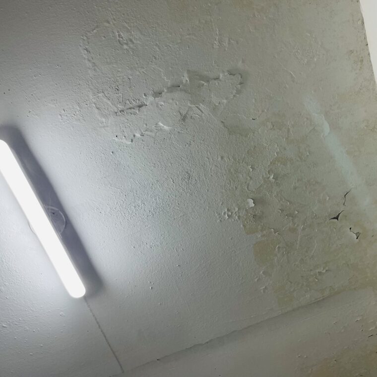 2021 05 2021 02021 05 13 zeperito wonderlandwonderland1 05 13 zeperito wonderland