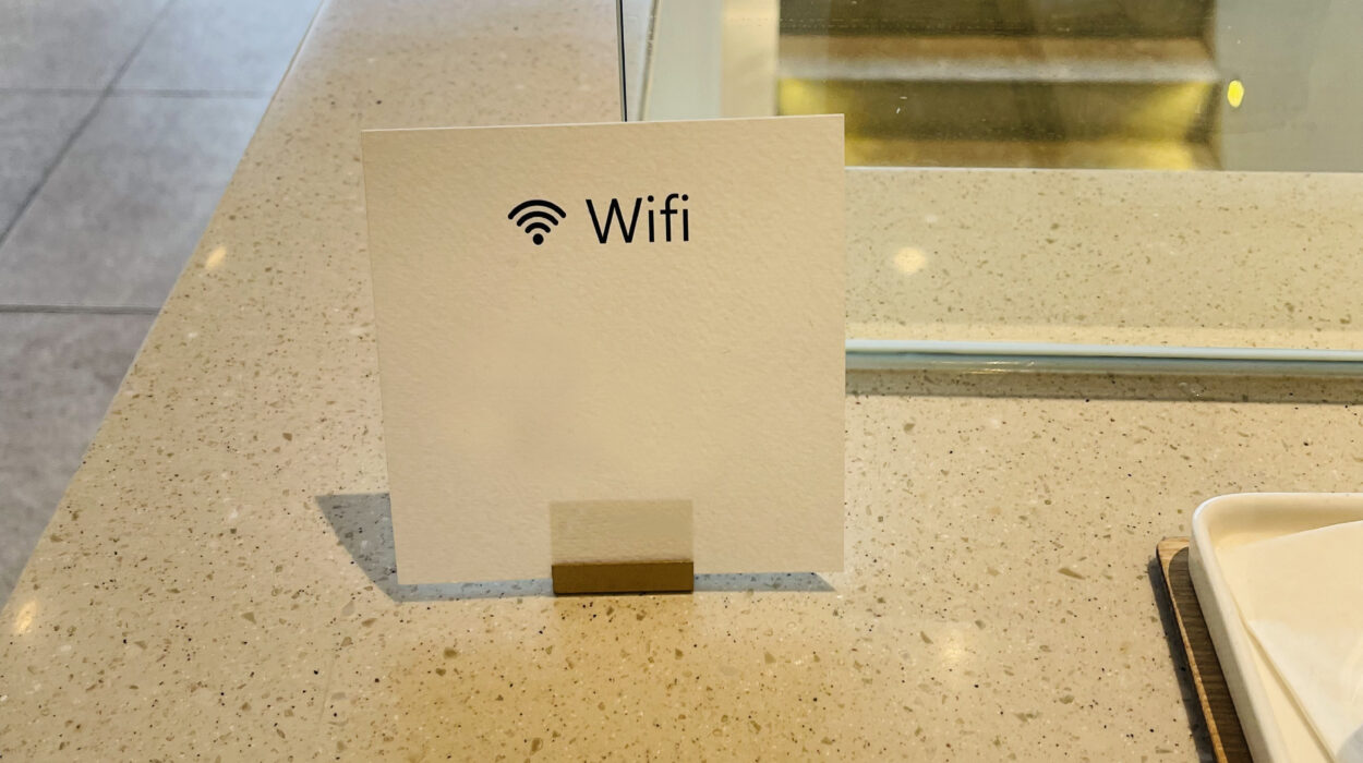 021 05 16 zeperito wonderland