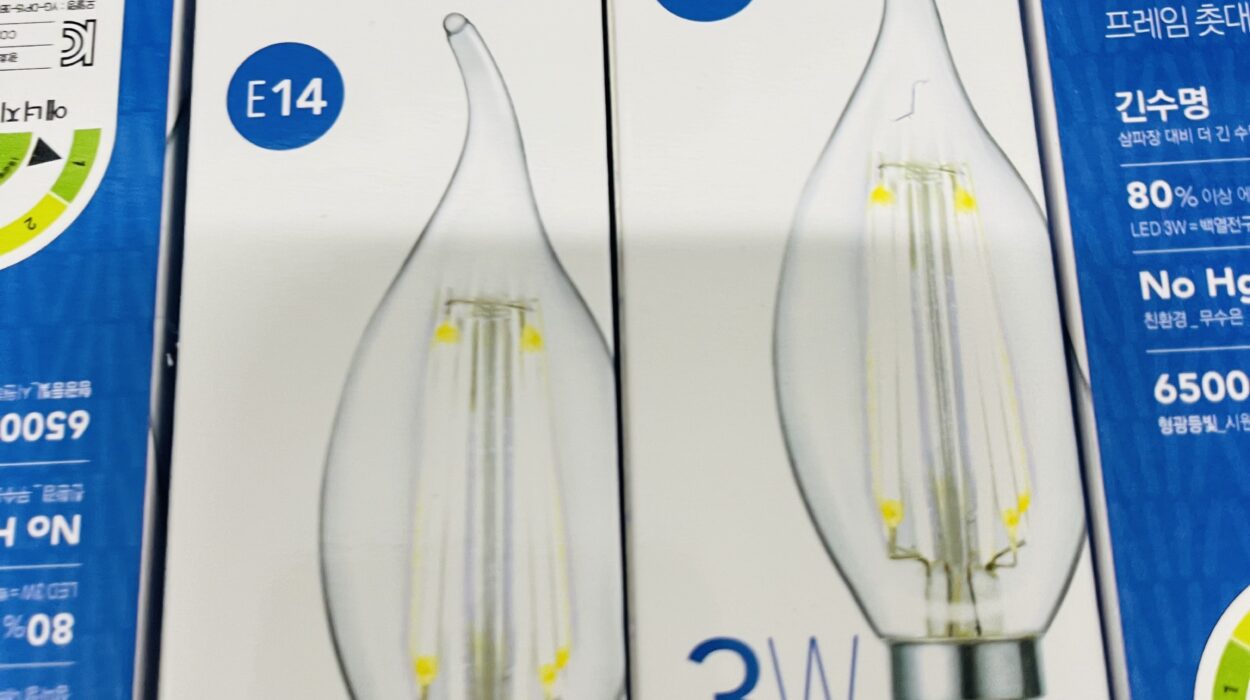 2021 06 13 zeperito wonderland