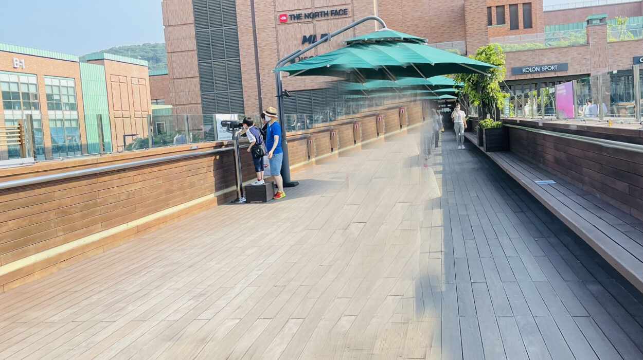 2021 06 14 zeperito wonderland