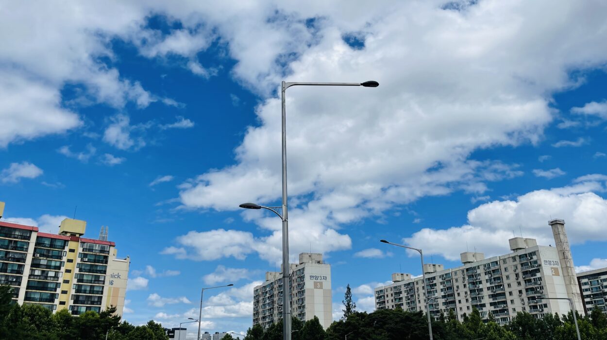 2021 06 16 zeperito wonderland 002