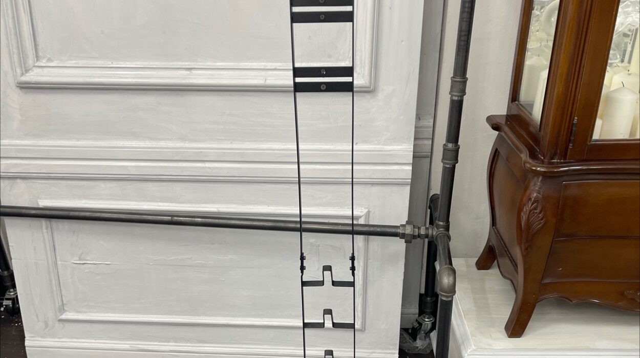 2021 11 14 zeperito wonderland