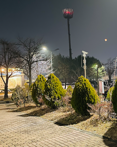 2021 11 20 zeperito wonderland