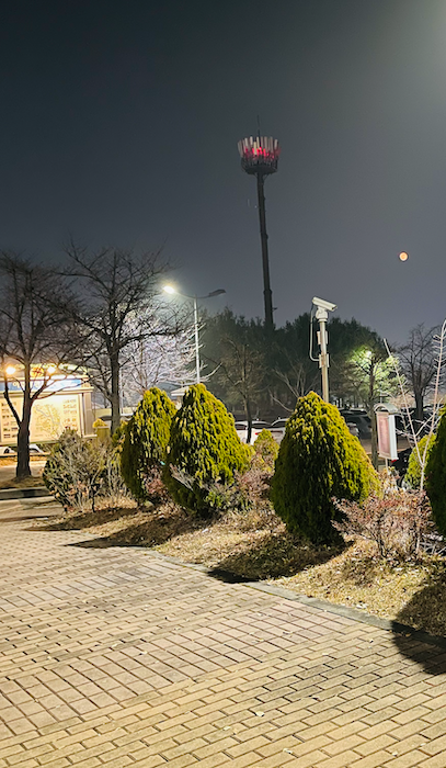 2021 11 20 zeperito wonderland