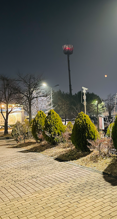 2021 11 20 zeperito wonderland