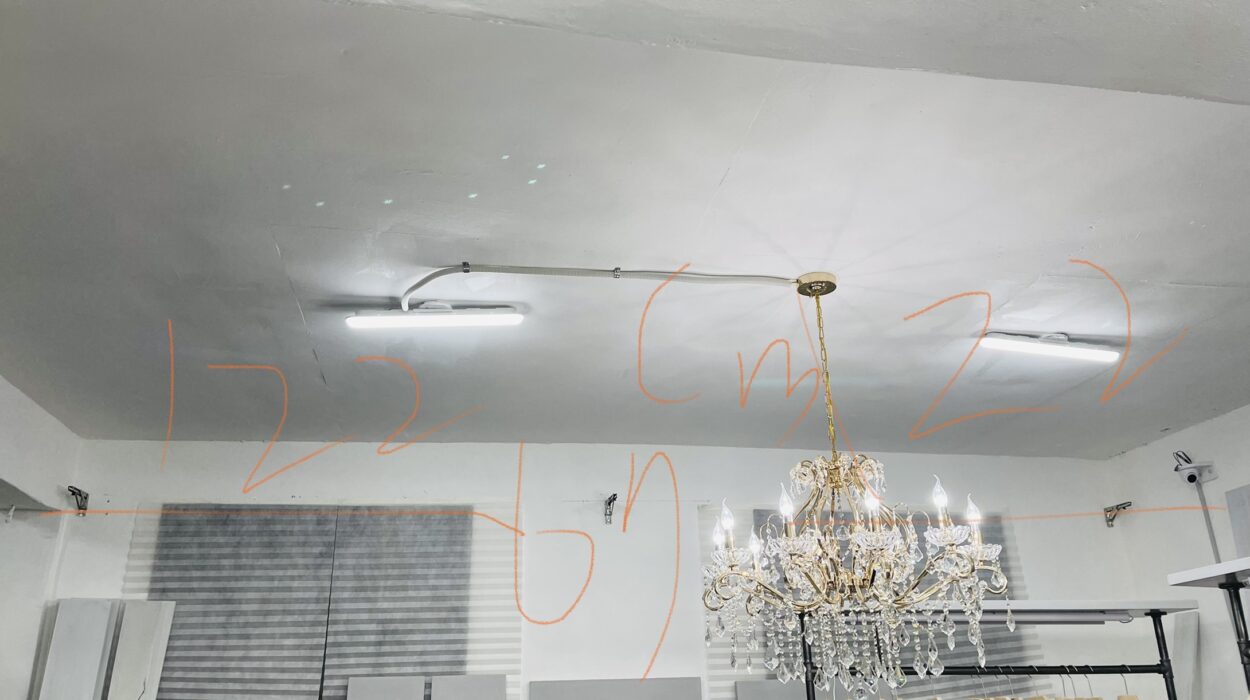 2021 11 22 zeperito wonderland 001