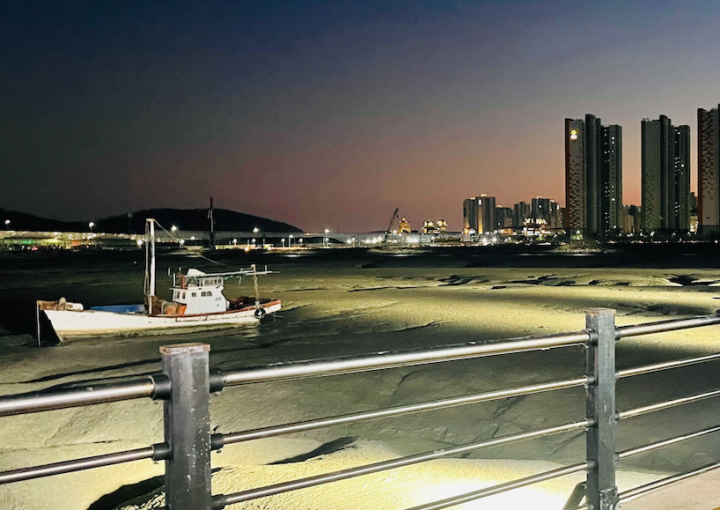 2021 11 27 zeperito wonderland 001