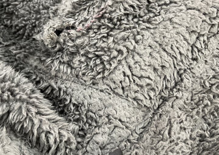 2022 01 12 zeperito wonderland