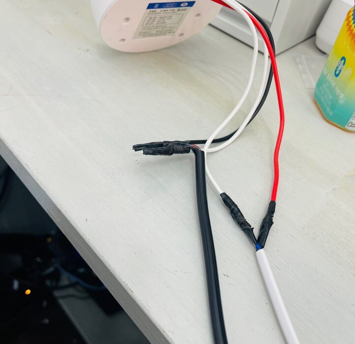 2022 01 19 zeperito wonderland 002