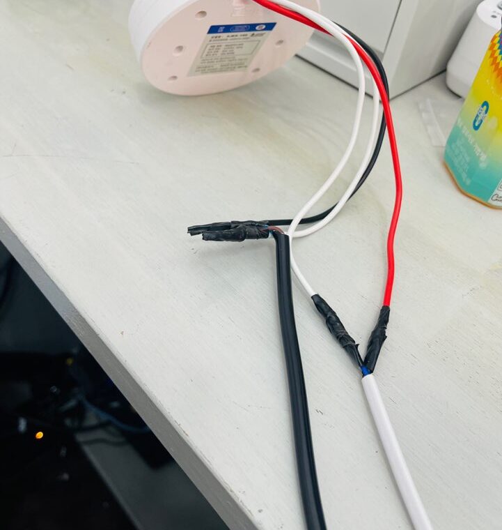 2022 01 19 zeperito wonderland 002