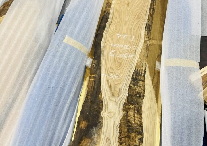 20220122 zeperito wonder land 001