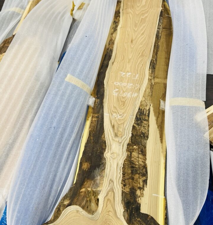 20220122 zeperito wonder land 001